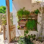 The House & Apartmán *