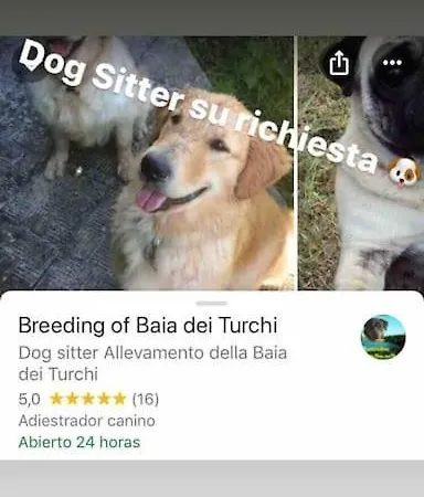 Appartamento The House &